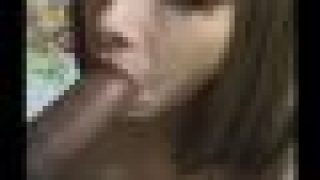 BJ Kontol Gede